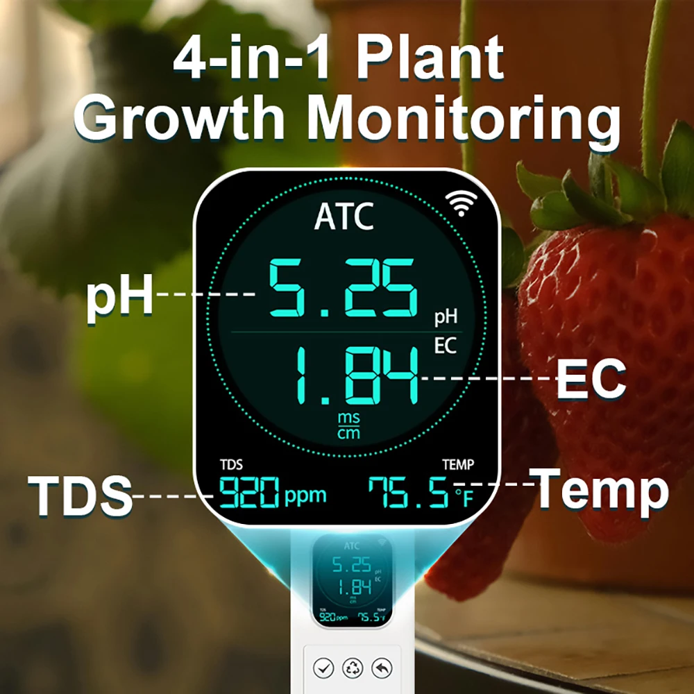 Kactoily Kit de cultivo urbano - Urban Farming Gardening reseña y precio